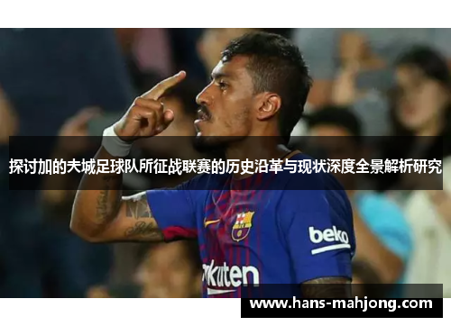 探讨加的夫城足球队所征战联赛的历史沿革与现状深度全景解析研究